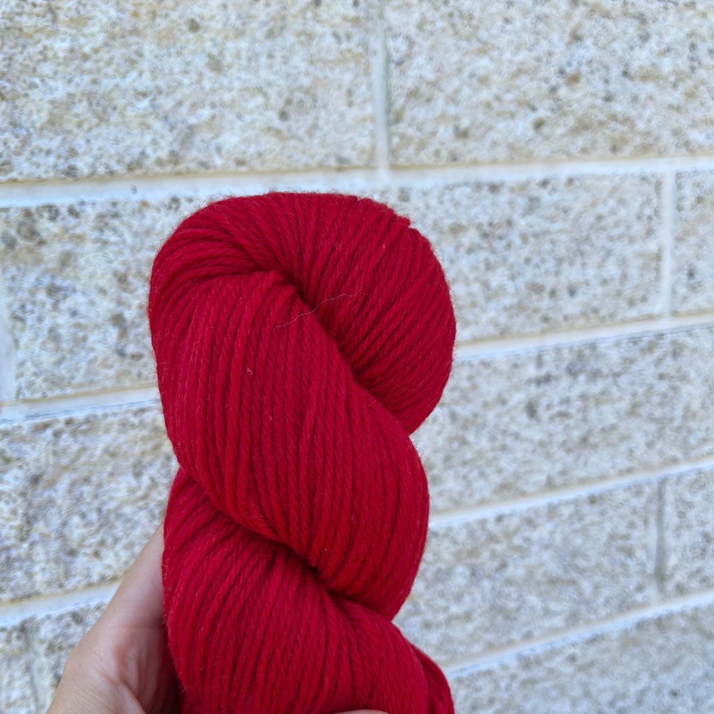 Cascade 220 Worsted - Re-loved