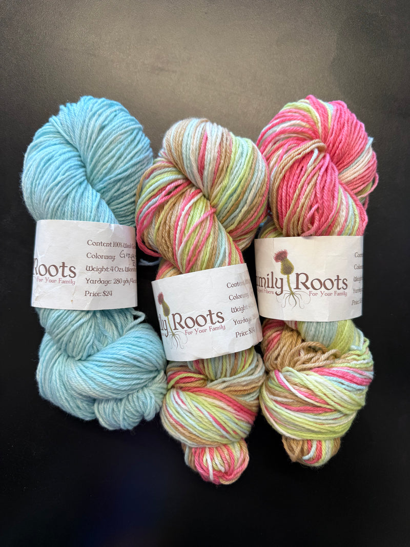 Family Roots DK Set - 225g x Grapefruit Love and 1114g x blue trim - Re-loved