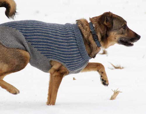 Bird Island Dog Sweater - Woolstok Printed Pattern