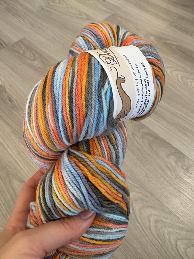 Dashing Dachs - Shubunkin - Superwash Merino Light Worsted - Re-loved