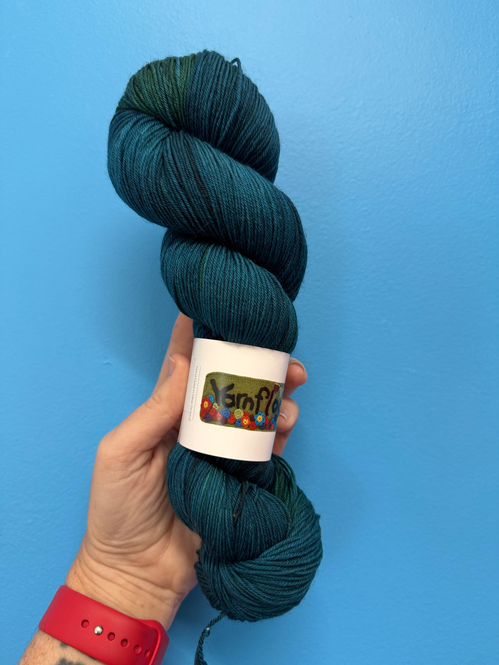 Hand holding a skein of dark green yarn against a blue background