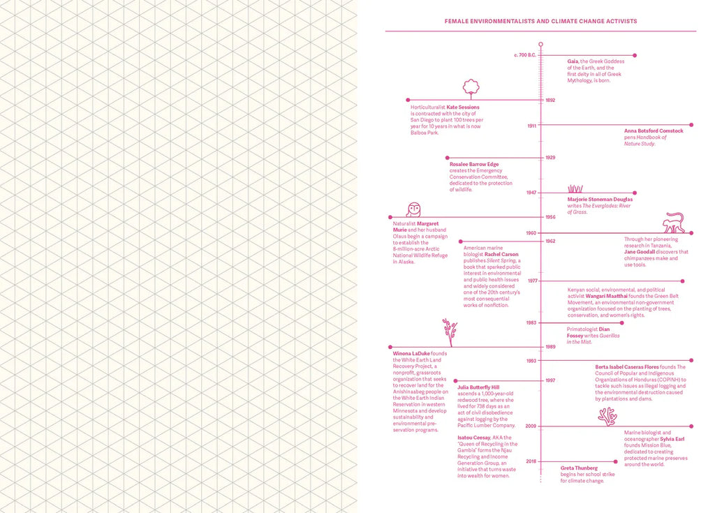 Grids & Guides - A Notebook for Visual Thinkers (Pink)