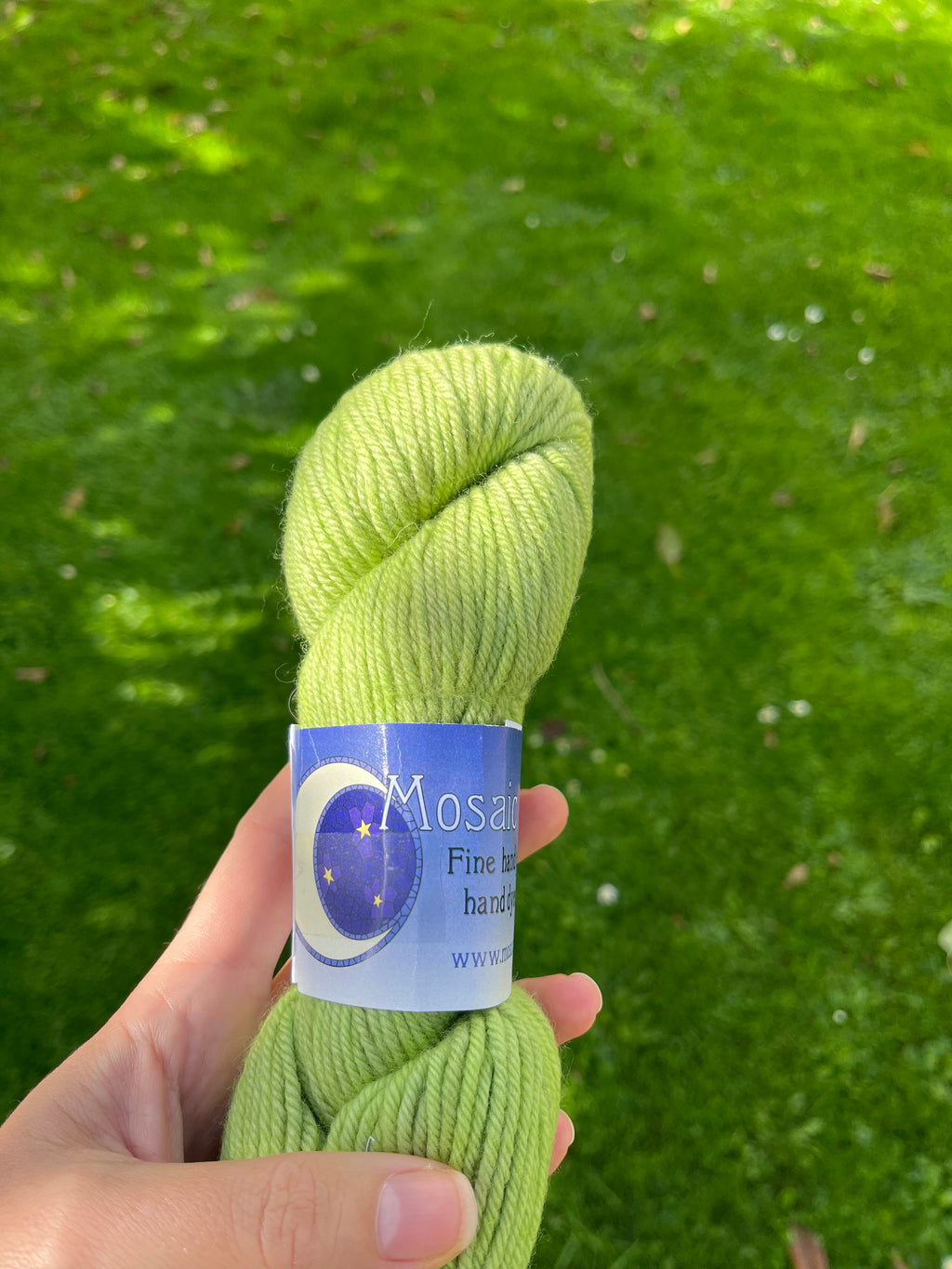 Mosaic Moon Organic DK Set - 113g x New Beginnings and 56g x green trim - Re-loved